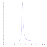 Cynomolgus TNFR2/CD120b/TNFR1B Protein (TNF-CM1R2)