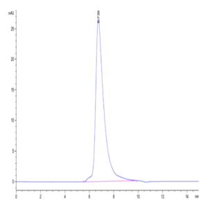 Cynomolgus TNFR2/CD120b/TNFR1B Protein (TNF-CM1R2)