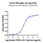Ferret TNF alpha Protein (TNF-FE00A)