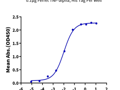 Ferret TNF alpha Protein (TNF-FE10A)