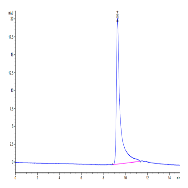 Ferret TNF alpha Protein (TNF-FE10A)