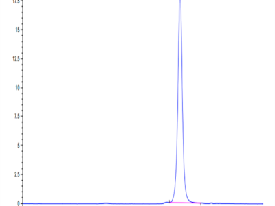 Human TNFRSF19 Protein (TNF-HM019)