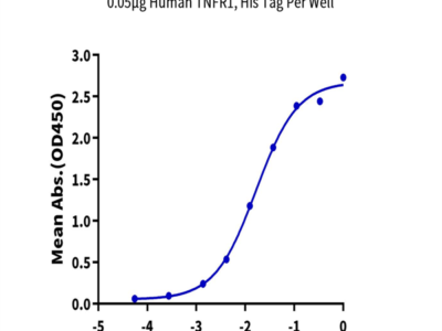 Human TNFR1/CD120a/TNFRSF1A Protein (TNF-HM1R1)