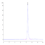 Human TNFR1/CD120a/TNFRSF1A Protein (TNF-HM1R1)