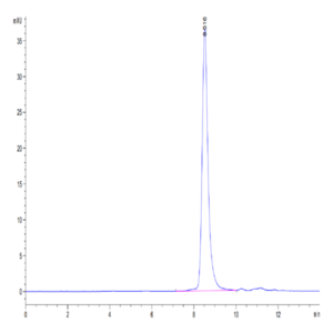 Human TNFR1/CD120a/TNFRSF1A Protein (TNF-HM1R1)
