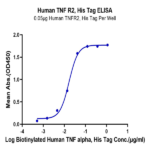 Human TNFR2/CD120b/TNFRSF1B Protein (TNF-HM1R2)