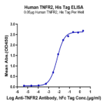 Human TNFR2/CD120b/TNFRSF1B Protein (TNF-HM1R2)