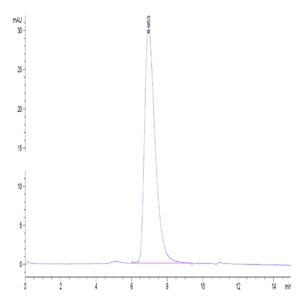 Human TNFR2/CD120b/TNFRSF1B Protein (TNF-HM1R2)