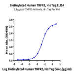 Biotinylated Human TNFR2/CD120b/TNFRSF1B Protein (Primary Amine Labeling) (TNF-HM1R2B)