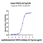 Human TNFSF12/TWEAK Protein (TNF-HM212)