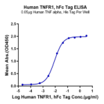 Human TNFR1/CD120a/TNFRSF1A Protein (TNF-HM2R1)