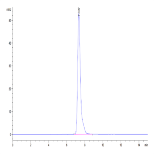 Human TNFR1/CD120a/TNFRSF1A Protein (TNF-HM2R1)