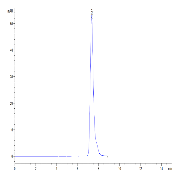 Human TNFR1/CD120a/TNFRSF1A Protein (TNF-HM2R1)