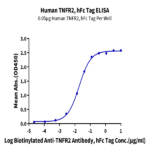 Human TNFR2/CD120b/TNFRSF1B Protein (TNF-HM2R2)