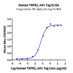 Human TNFR2/CD120b/TNFRSF1B Protein (TNF-HM3R2)