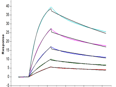 Human TNF alpha Protein (TNF-HM40A)