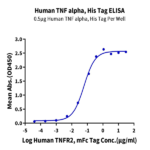 Human TNF alpha Protein (TNF-HM40A)