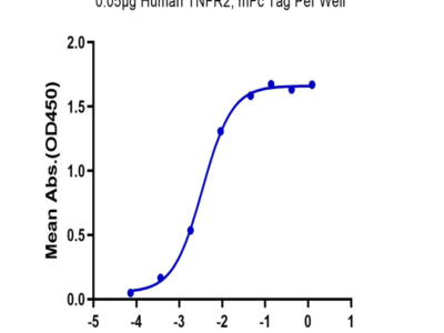 Biotinylated Human TNF alpha Protein (TNF-HM40AB)