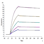 Mouse TNFRSF12A/TWEAKR Protein (TNF-MM20A)