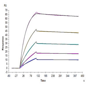 Mouse TNFRSF12A/TWEAKR Protein (TNF-MM20A)