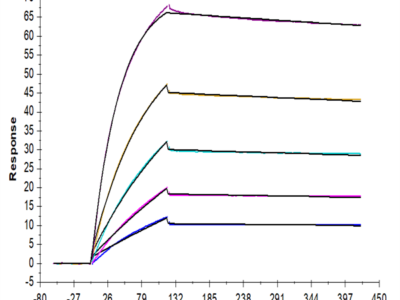 Mouse TNFRSF12A/TWEAKR Protein (TNF-MM20A)