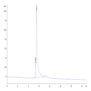 Human TPM1 Protein (TPM-HE101)