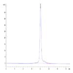 Mouse Thyroid Peroxidase Protein (TPO-MM101)