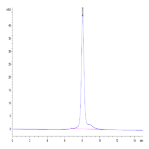 Mouse Thyroid Peroxidase Protein (TPO-MM101)