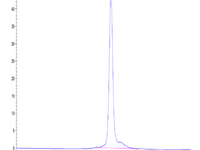 Mouse Thyroid Peroxidase Protein (TPO-MM101)