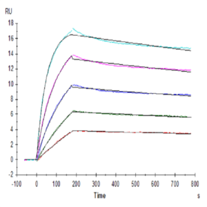 Human DcR1/TRAILR3 Protein (TRA-HM103)