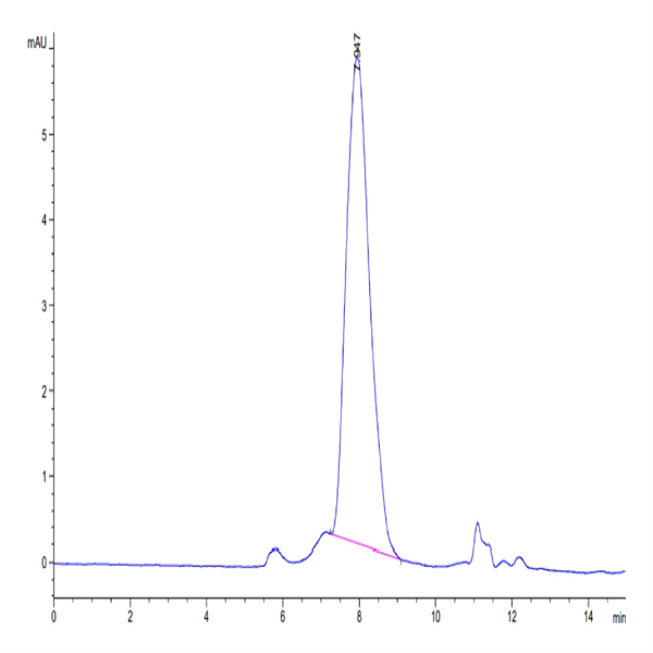 Human DcR1/TRAILR3 Protein (TRA-HM103)