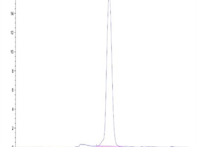 Human TrkA Protein (TRK-HM10A)