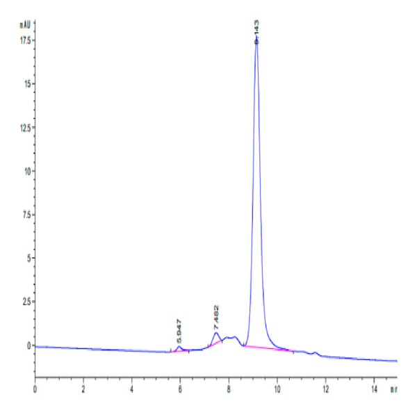 Cynomolgus TRAIL R2/DR5/TNFRSF10B Protein (TRL-CM1R2)