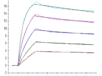 Human TRAIL/TNFRSF10 Protein (TRL-HE001)