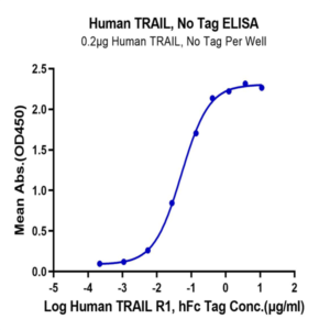 Human TRAIL/TNFRSF10 Protein (TRL-HE001)