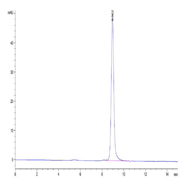 Human TRAIL/TNFRSF10 Protein (TRL-HE001)