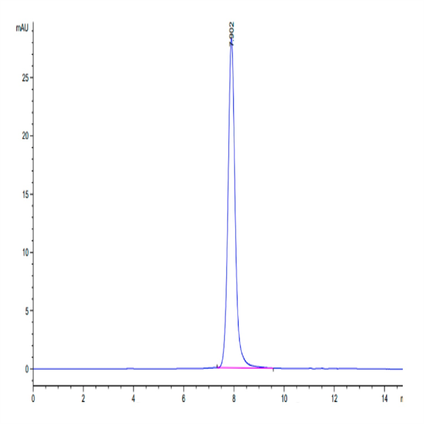 Human TRAIL R1/DR4/TNFRSF10A Protein (TRL-HM2R1)