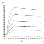 Biotinylated Human TRAIL R1/DR4/TNFRSF10A Protein (TRL-HM4R1B)