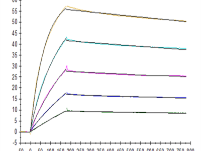 Biotinylated Human TRAIL R1/DR4/TNFRSF10A Protein (TRL-HM4R1B)