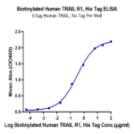 Biotinylated Human TRAIL R1/DR4/TNFRSF10A Protein (TRL-HM4R1B)
