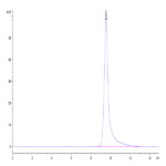 Human TRAIL R2/DR5/TNFRSF10B Protein (TRL-HM4R2)