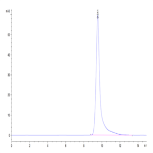 Human TRAIL R2/DR5/TNFRSF10B Protein (TRL-HM4R2)