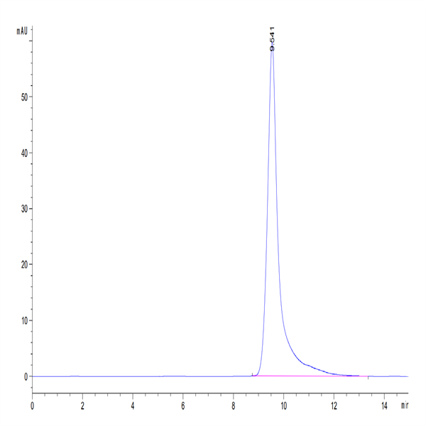 Human TRAIL R2/DR5/TNFRSF10B Protein (TRL-HM4R2)