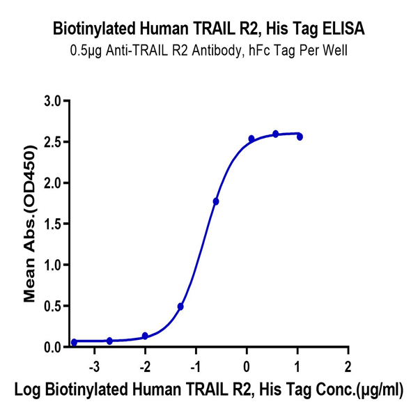Biotinylated Human TRAIL R2/DR5/TNFRSF10B Protein (TRL-HM4R2B) Biotinylated Human TRAIL R2/DR5/TNFRSF10B Protein (TRL-HM4R2B)