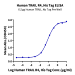 Human TRAIL R4/TNFRSF10D Protein (TRL-HM4R4)