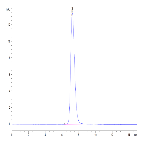 Human TRAIL R4/TNFRSF10D Protein (TRL-HM4R4)