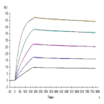 Biotinylated Human TRAIL R4/TNFRSF10D Protein (TRL-HM4R4B)