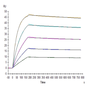 Biotinylated Human TRAIL R4/TNFRSF10D Protein (TRL-HM4R4B)