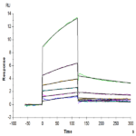 Mouse TRAIL/TNFRSF10 Protein (TRL-ME101)