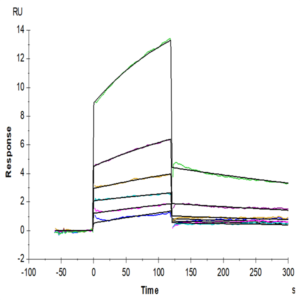 Mouse TRAIL/TNFRSF10 Protein (TRL-ME101)